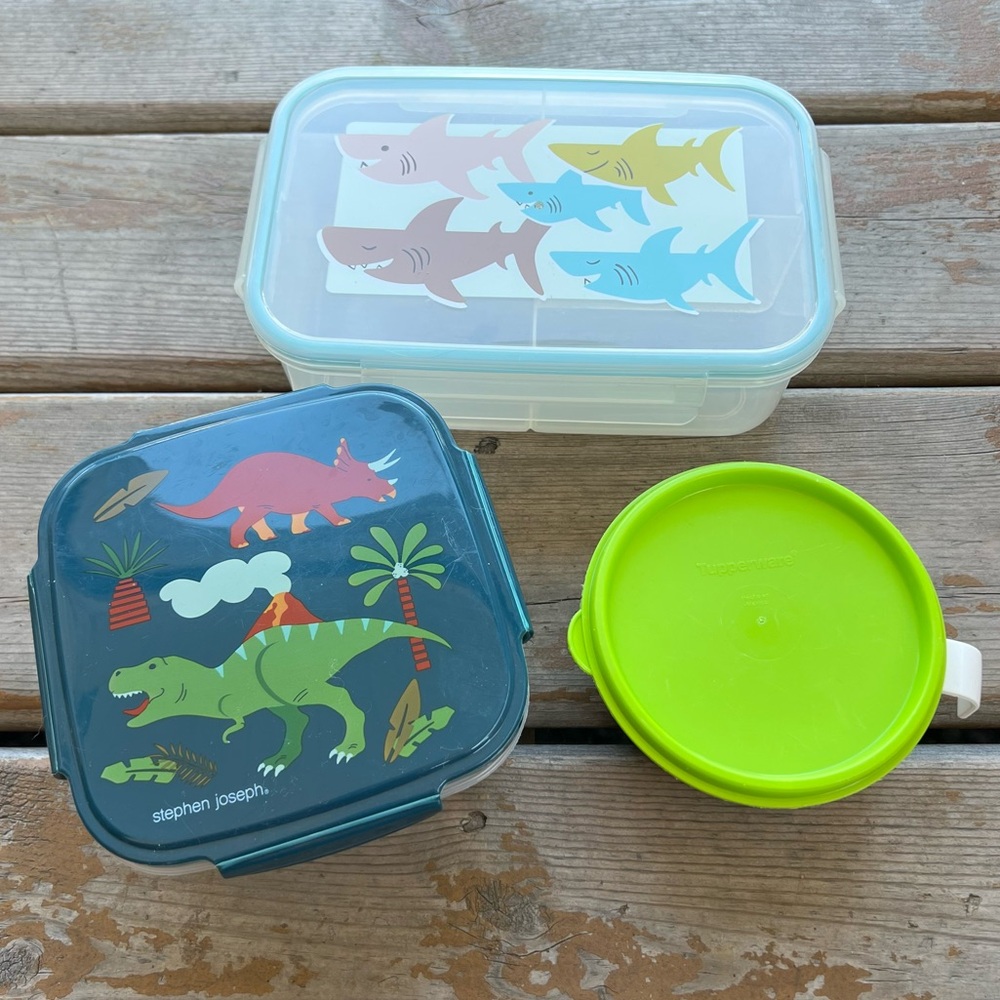 Bento Box Container Lot - 3 Count